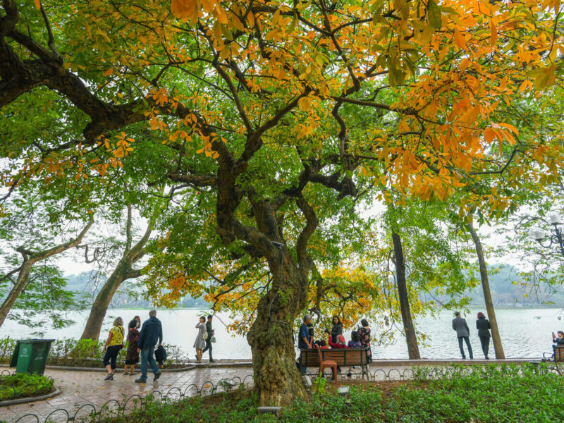 Di du lich ha noi mua nao dep nhat trong nam 5f579402574e3