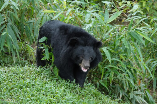 4 15790874526851375612126 1698599998764806895106