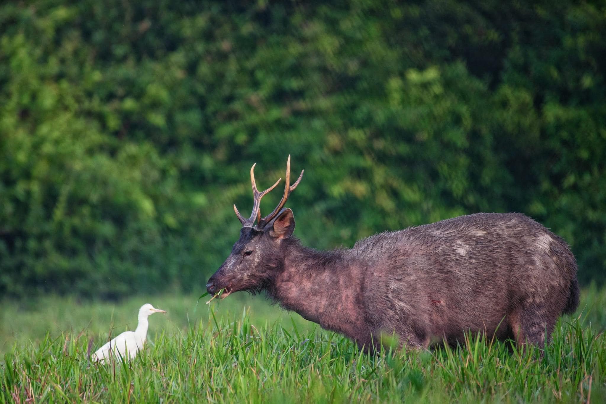 485768638 985755413699006 4753726579429529462 n