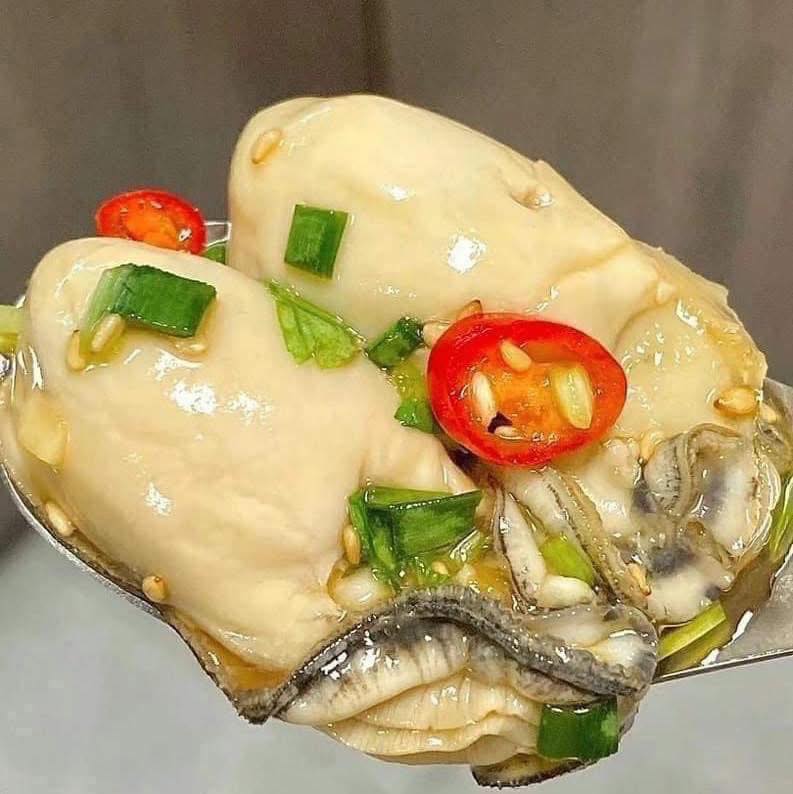 487427483 1072054014950479 3576581468703572110 n