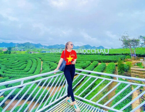 Z7094951818645 63051fd52de619747534b003786c3532